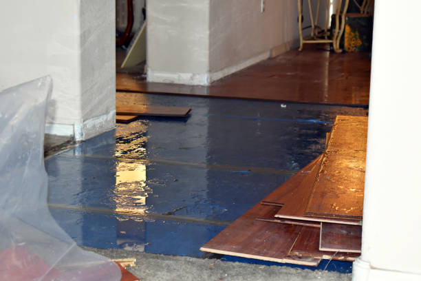 Professional Burst Pipe Cleanup technician working in Grantham, NH